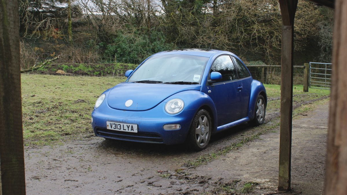This Is What A 315 000 Mile Vw Beetle Looks Like Petrolblog